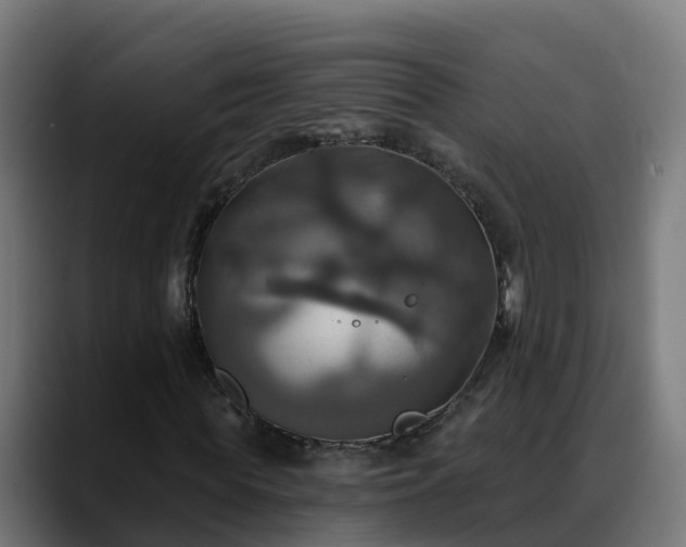 X0000088470819200705291547