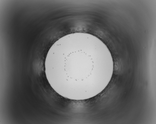 X0000088470820200705291547