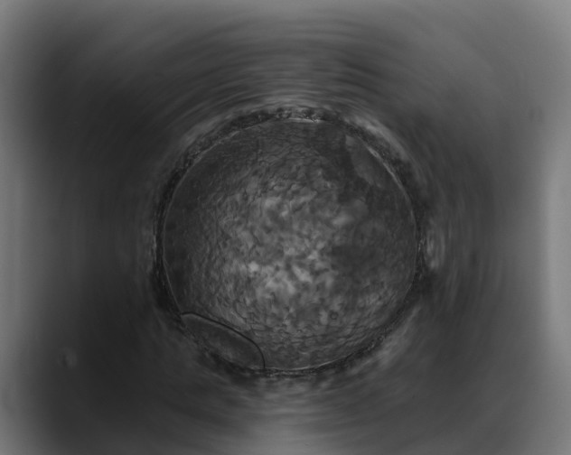 X0000088470821200705291547