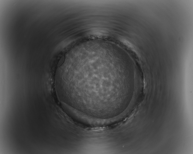 X0000088470822200705291547