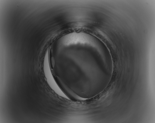 X0000088470823200705291547