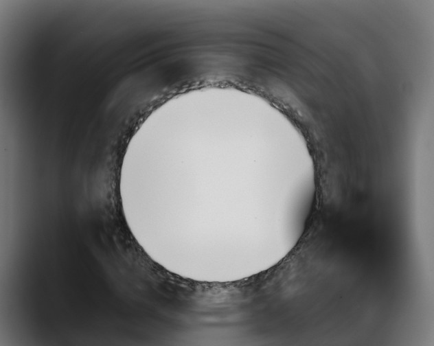 X0000088470824200705291547