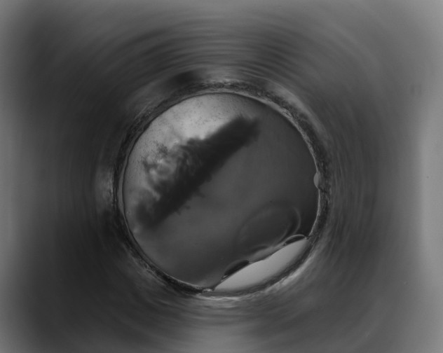 X0000088470825200705291547