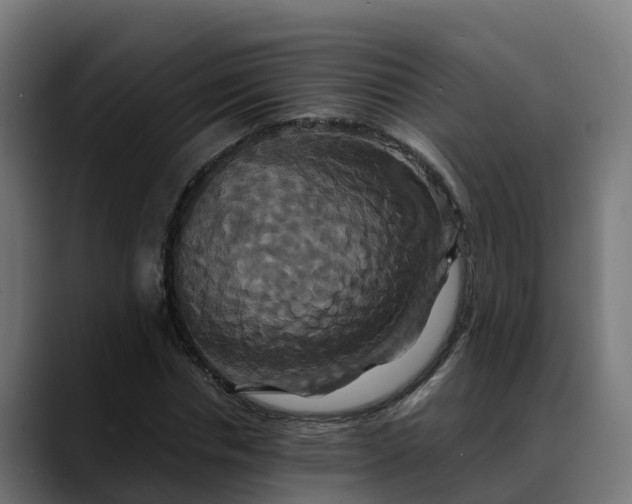 X0000088470826200705291547