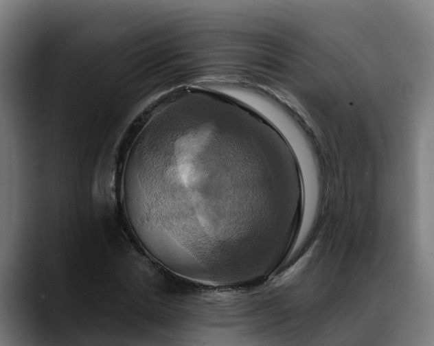 X0000088470830200705291547