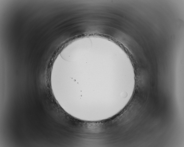 X0000088470832200705291547