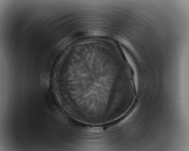 X0000088470833200705291547