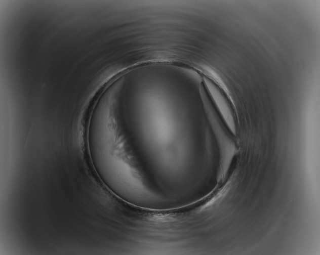 X0000088470835200705291547