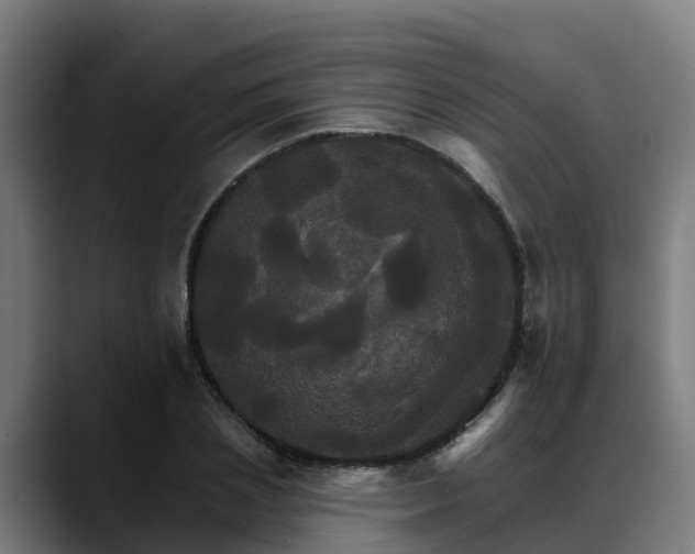 X0000088470837200705291547
