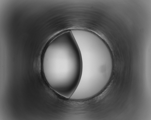 X0000088470838200705291547