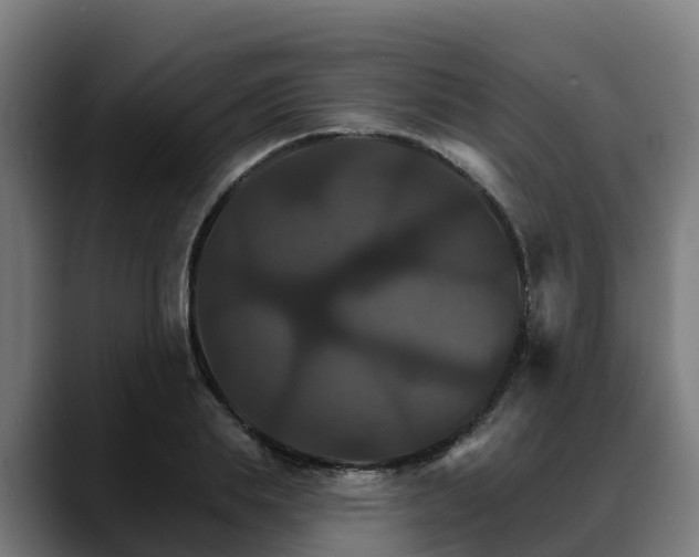 X0000088470839200705291547