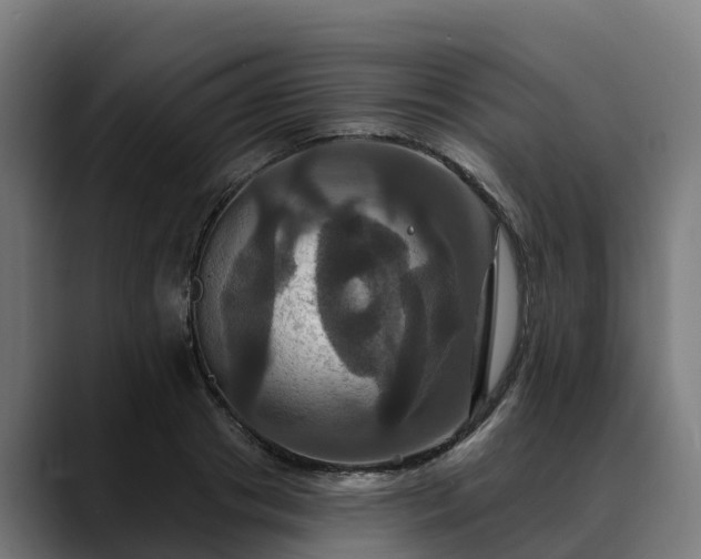 X0000088470841200705291547