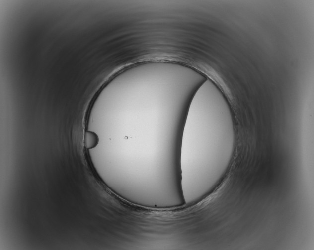 X0000088470844200705291547