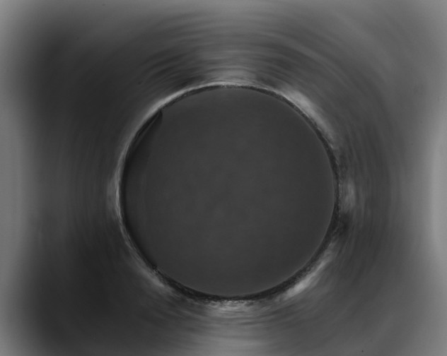 X0000088470846200705291547