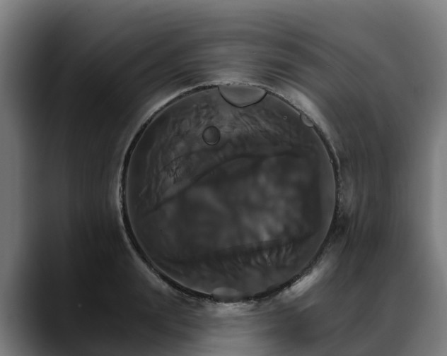 X0000088470847200705291547