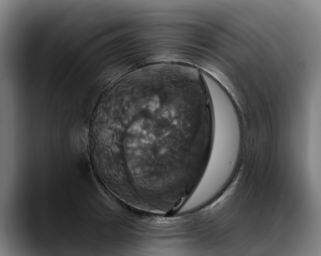 X0000088470849200705291547