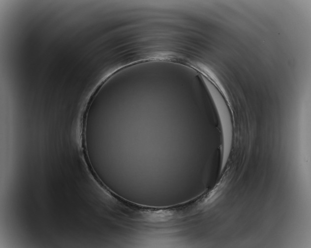 X0000088470851200705291547
