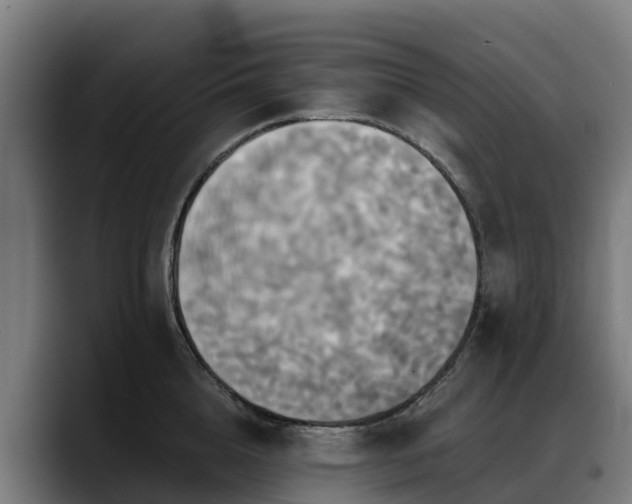 X0000088470856200705291547