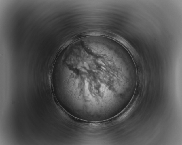 X0000088470857200705291547