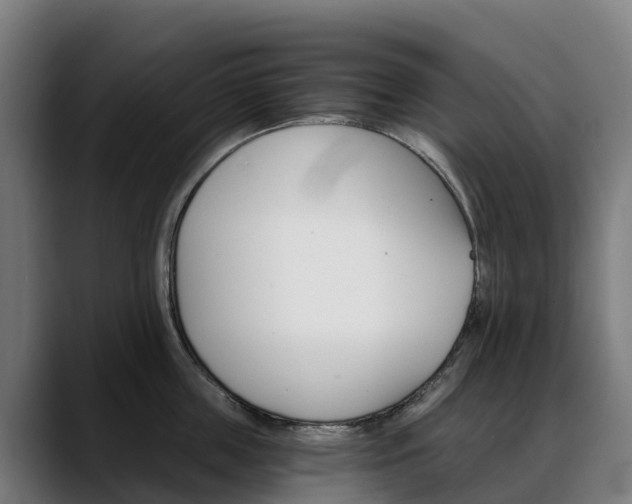 X0000088470859200705291547
