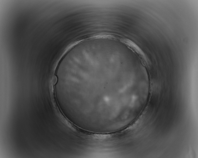 X0000088470860200705291547