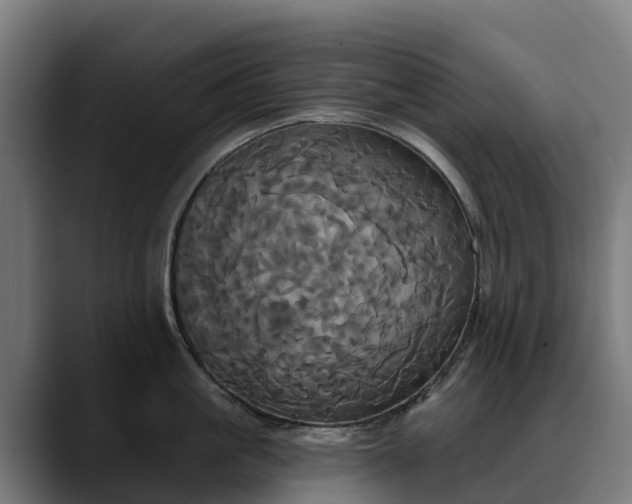 X0000088470861200705291548