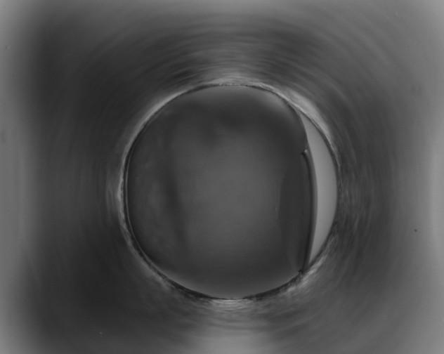 X0000088470863200705291548