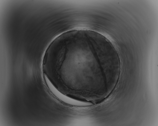 X0000088470864200705291548