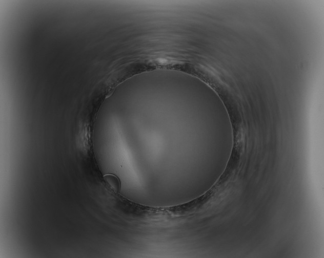 X0000088470866200705291547