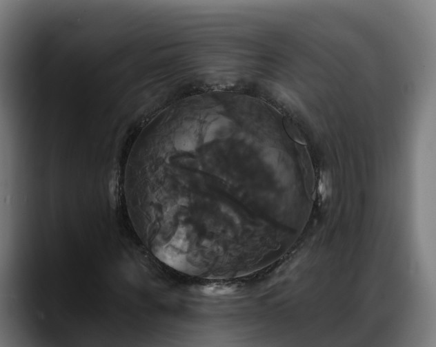 X0000088470867200705291547