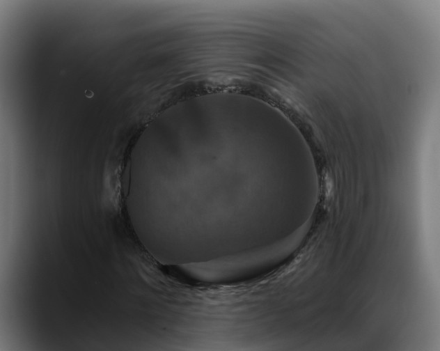 X0000088470868200705291547