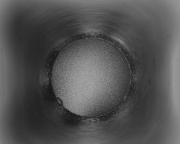 X0000088470869200705291547