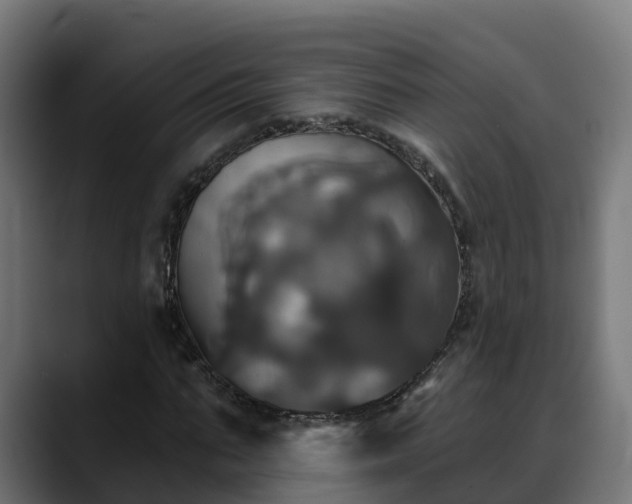 X0000088470871200705291547