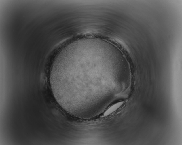 X0000088470872200705291547