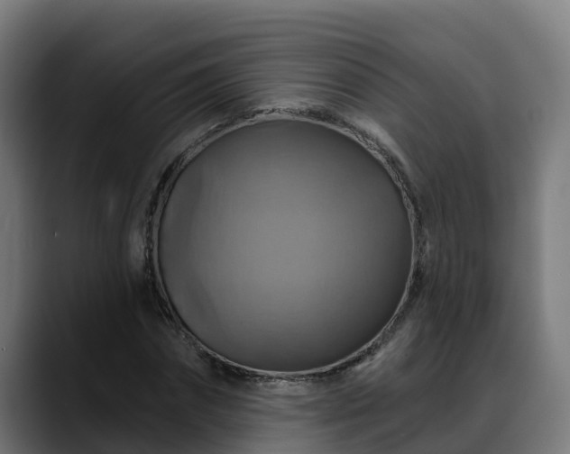 X0000088470874200705291547