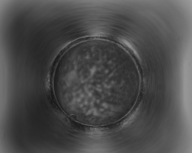 X0000088470875200705291547