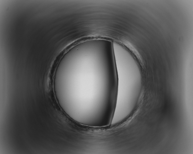 X0000088470876200705291547