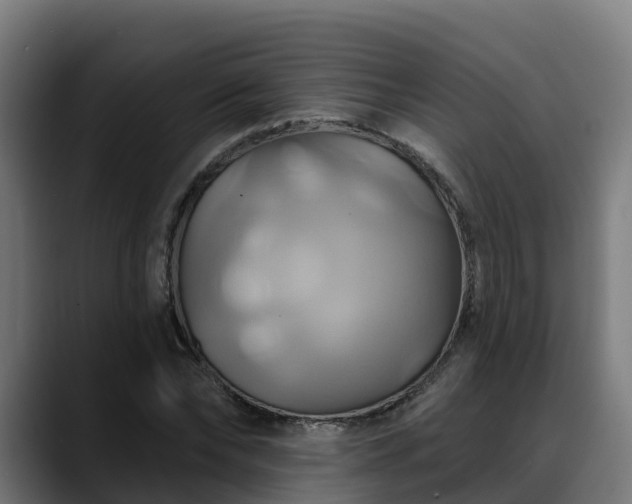 X0000088470878200705291547
