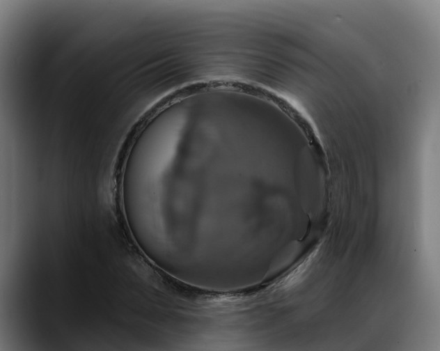 X0000088470879200705291547