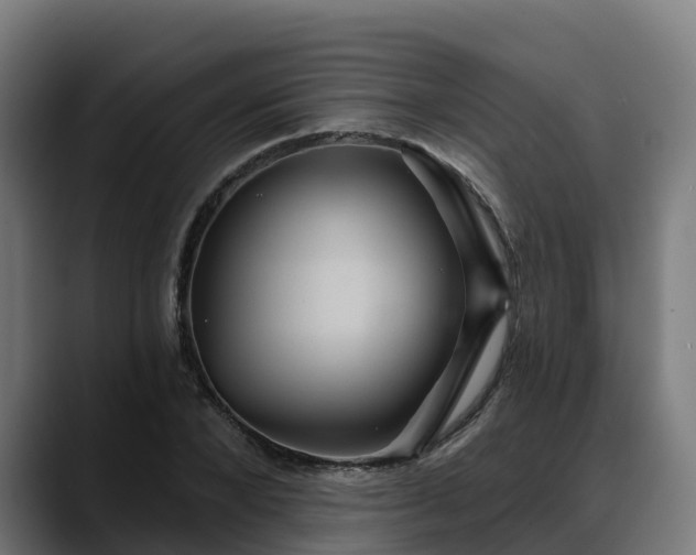 X0000088470880200705291547