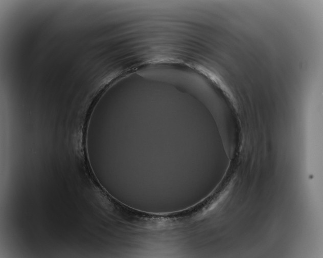 X0000088470881200705291547