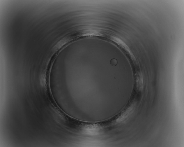 X0000088470882200705291547