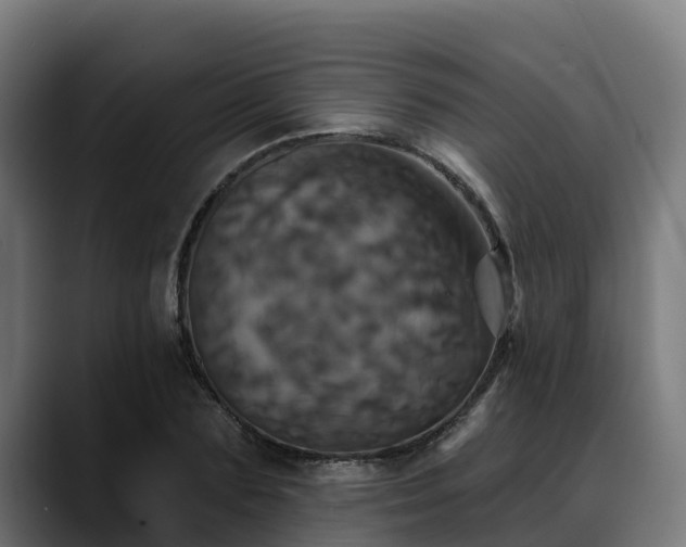 X0000088470883200705291547