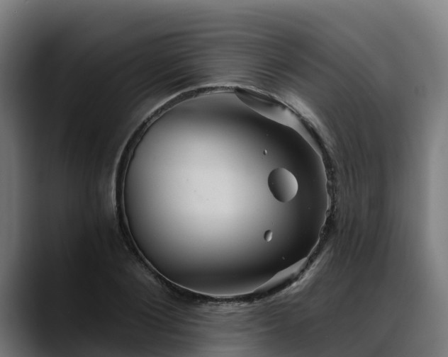 X0000088470884200705291547