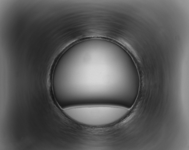 X0000088470885200705291547