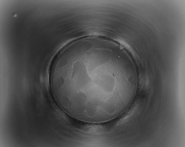 X0000088470886200705291547