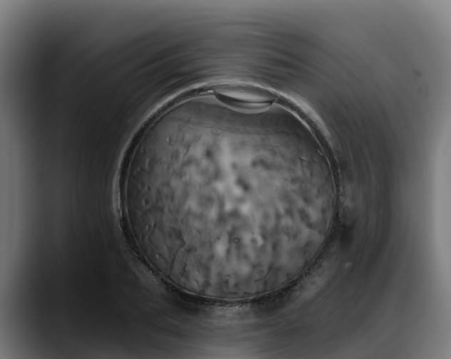 X0000088470887200705291547