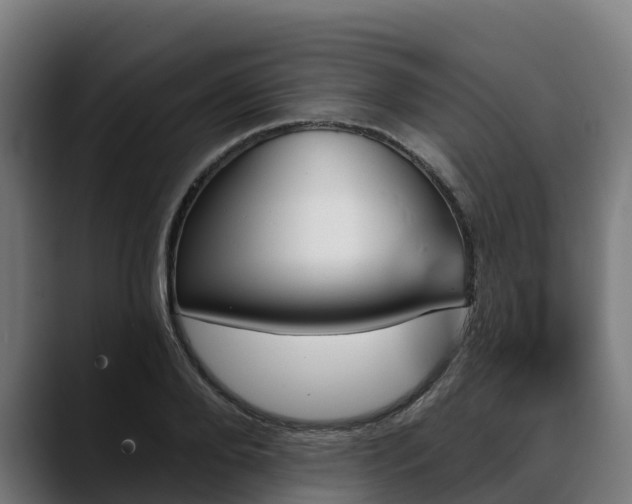 X0000088470888200705291547