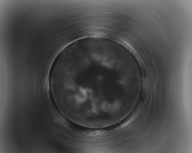 X0000088470891200705291547