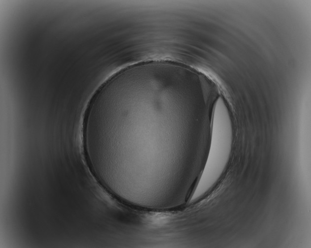 X0000088470894200705291547